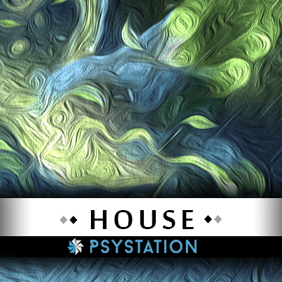 PsyStation - House