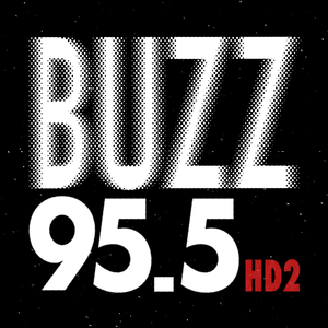 95.5 Buzz HD2