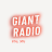 The Giant Radio - Atlantic 252